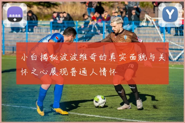 小白揭秘波波维奇的真实面貌与关怀之心展现普通人情怀
