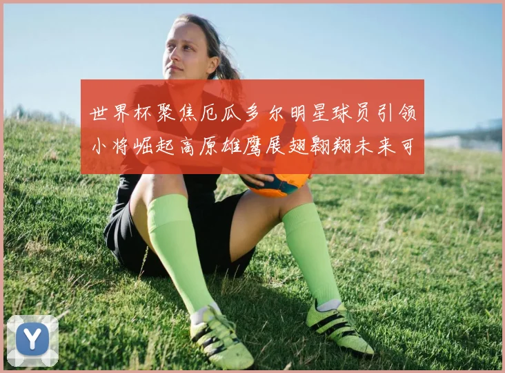 世界杯聚焦厄瓜多尔明星球员引领小将崛起高原雄鹰展翅翱翔未来可期
